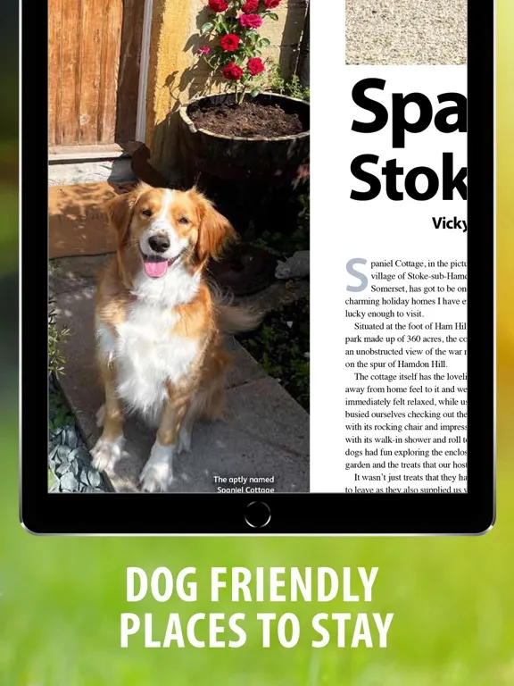 Dog Friendly Magazine iPad 應用截圖