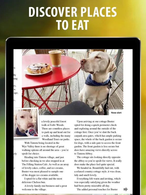 Dog Friendly Magazine iPad 應用截圖