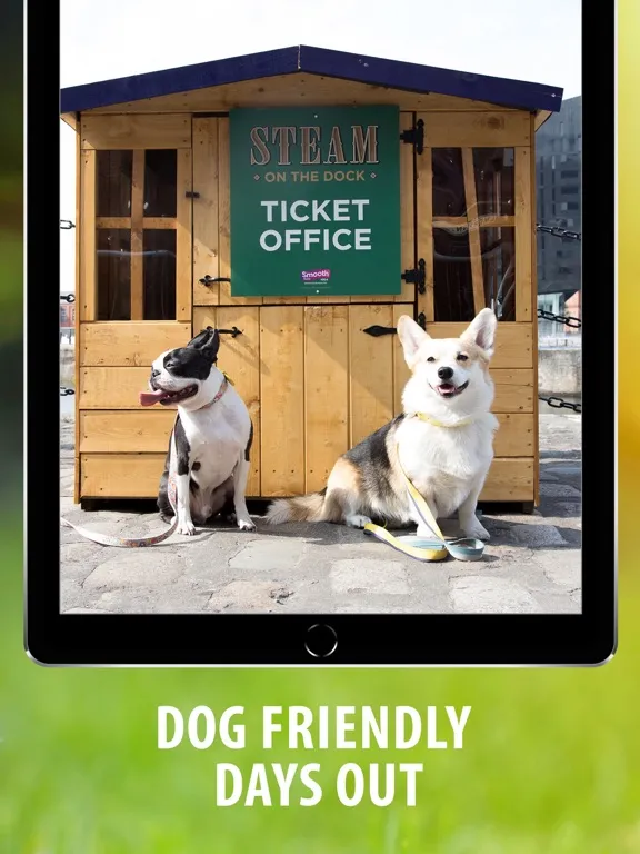 Dog Friendly Magazine iPad 應用截圖