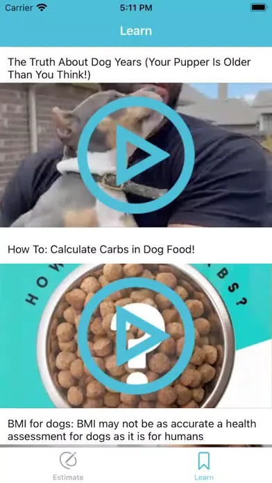 Screenshot di DoggoWagging