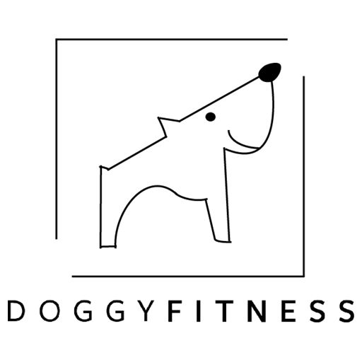 Doggy Fitness
