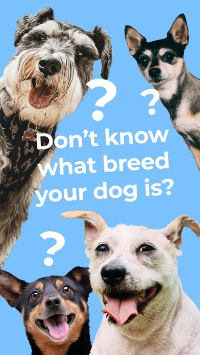 Capturas de tela do Dog Breed Identifier by Dogo