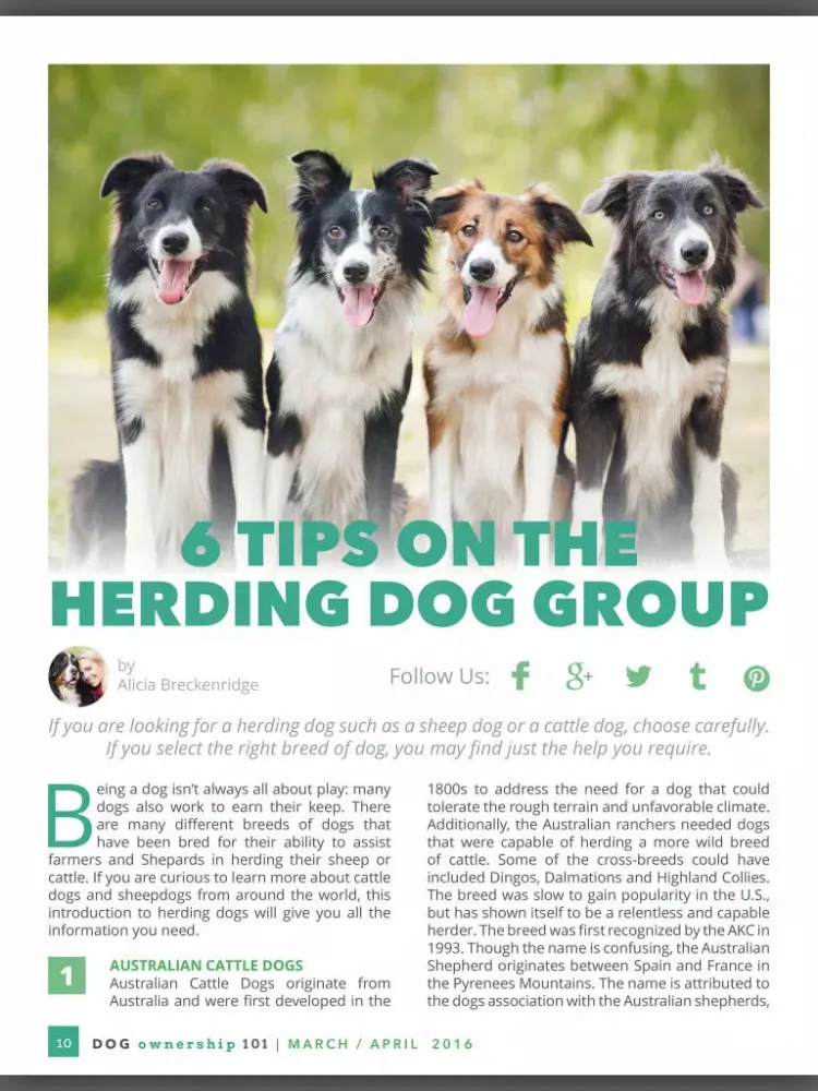 Captures d'écran de Dog Ownership 101 Magazine iPad 