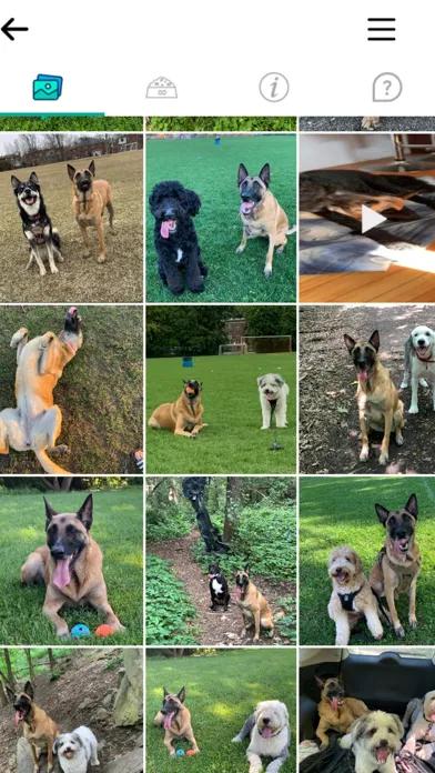 DogPack - Explore with the dog スクリーンショット