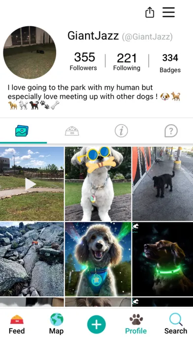 DogPack - Explore with the dog スクリーンショット