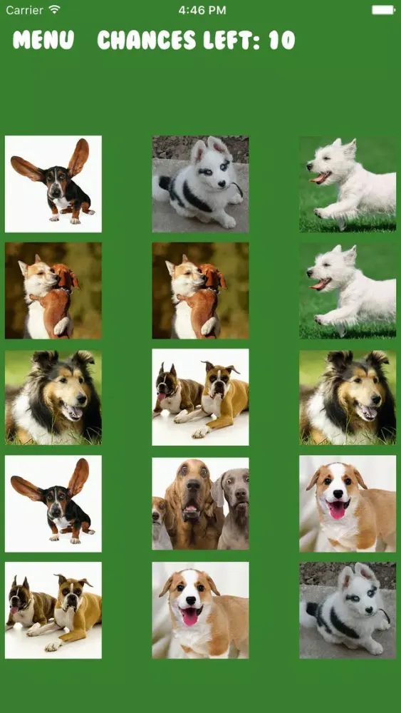 Dog Memory Puzzle سکرین شاٹس