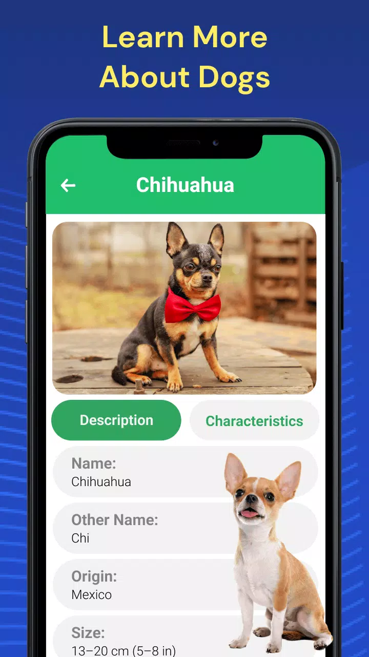 Dog Breed Identifier by Photo APK for Android Download PGYER APKHUB