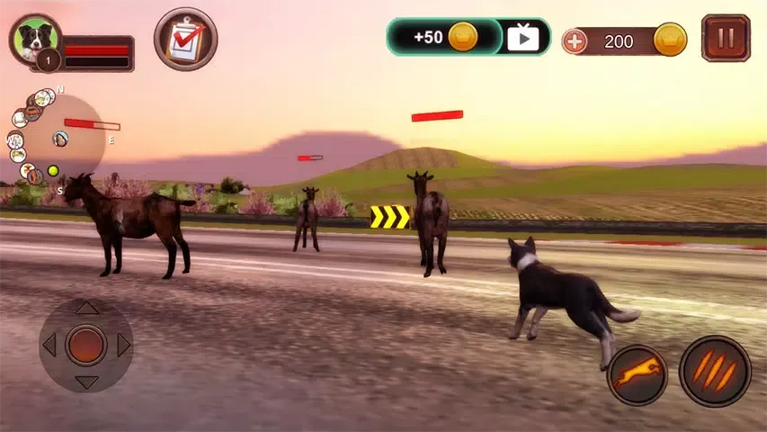 Border Collie Simulator应用截图