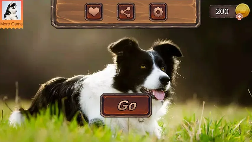 Border Collie Simulator应用截图