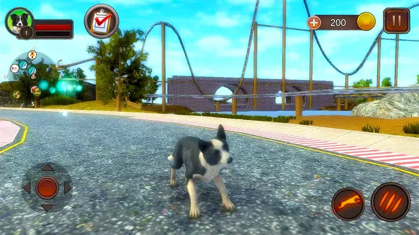 Border Collie Simulator应用截图