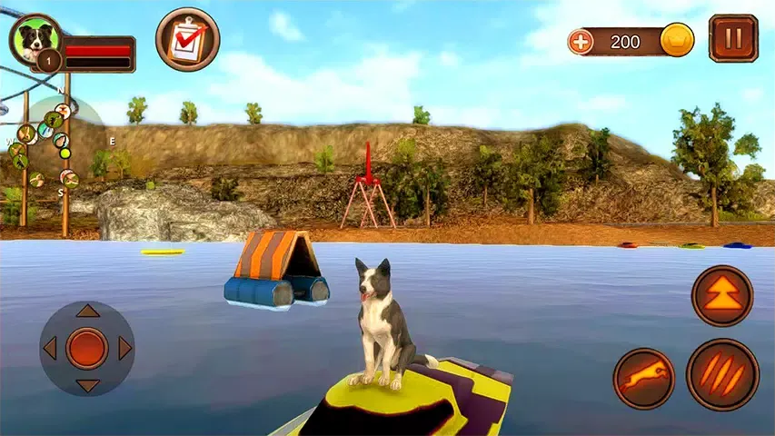 Border Collie Simulator应用截图