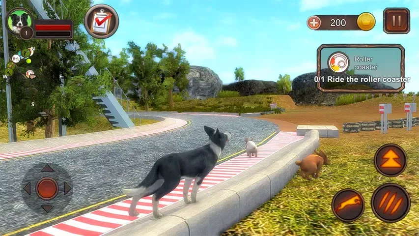 Border Collie Simulator应用截图