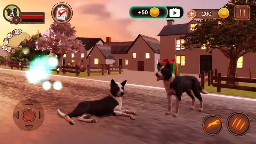 Border Collie Simulator应用截图
