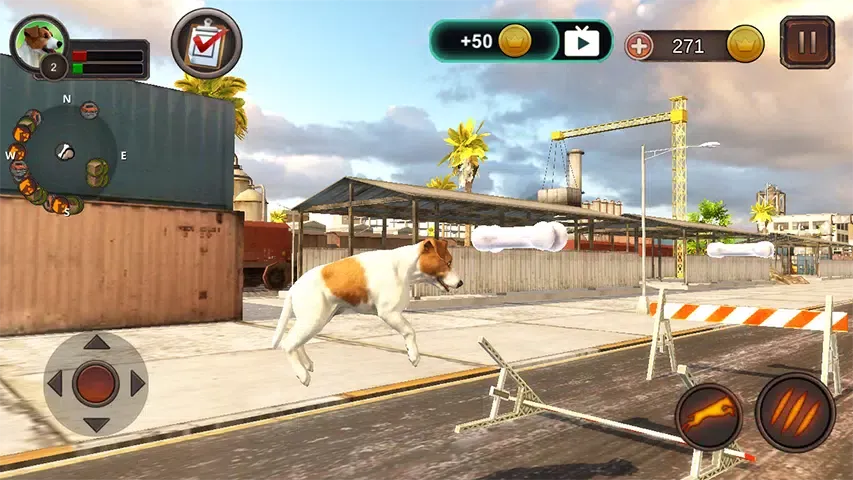 Jack Russell Terrier Simulator Screenshots