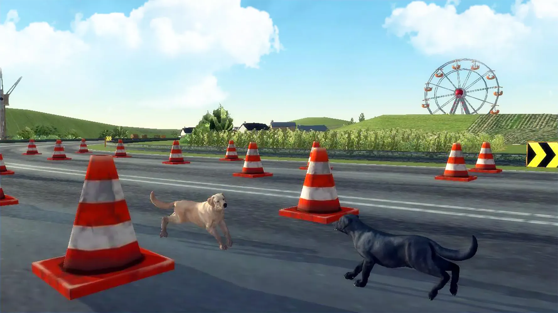 Captures d'écran de Labrador Simulator