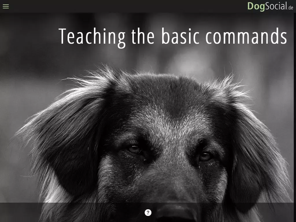 DogSocial Dog Training FREE - Teaching the Basic Commands iPad 應用截圖