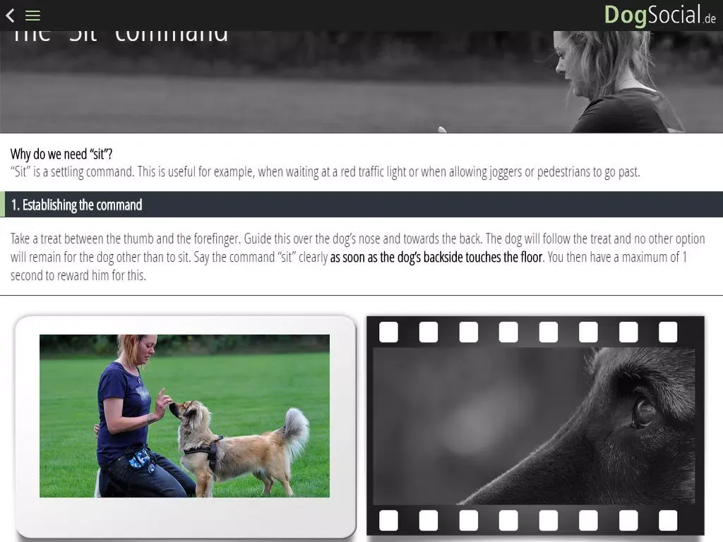 DogSocial Dog Training FREE - Teaching the Basic Commands iPad 應用截圖