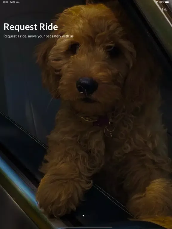 Dogtaxi305 iPad  Screenshots