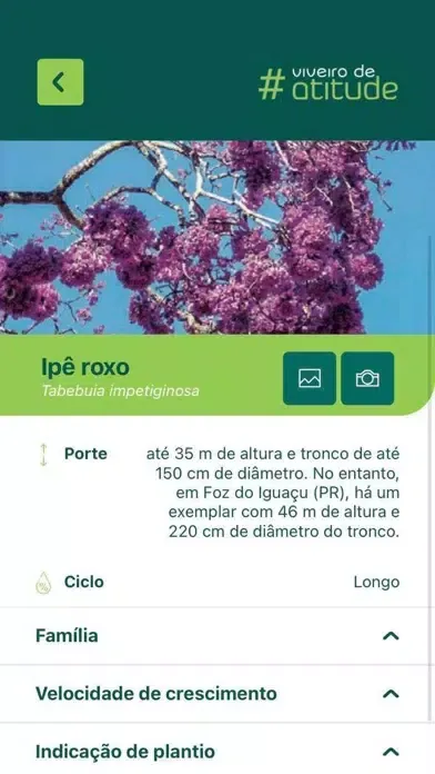Capturas de pantalla de Viveiro de Atitude
