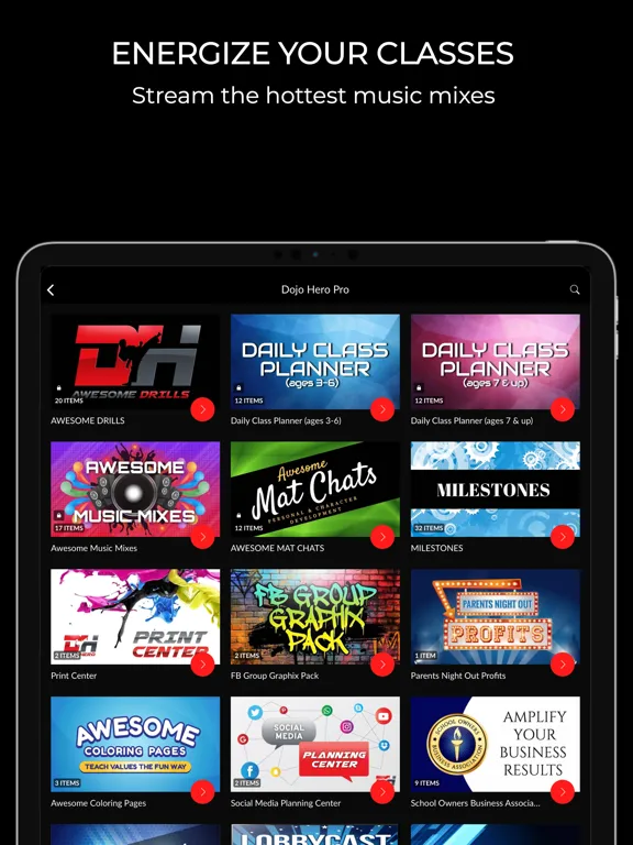 Ảnh chụp màn hình của Dojo Hero iPad 