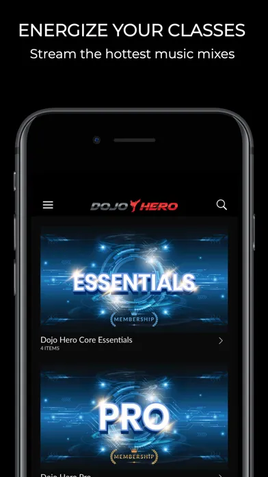 Ảnh chụp màn hình của Dojo Hero