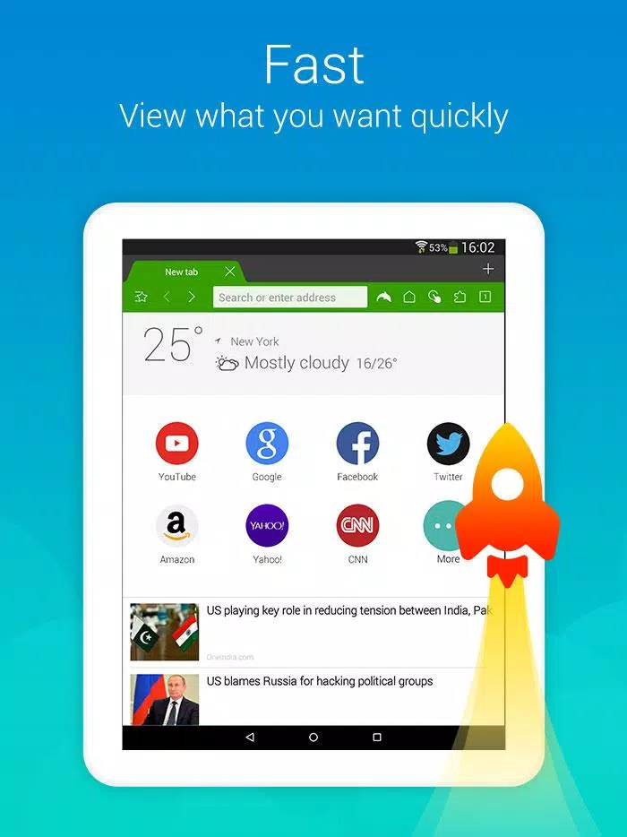 Dolphin Screenshots
