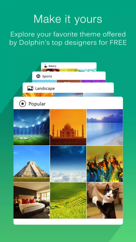 Dolphin Web Browser Pro –Secure Search Explorer Screenshots