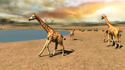 Africa Wild Free স্ক্রিনশট