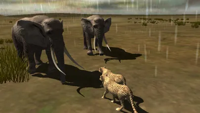 Africa Wild Free স্ক্রিনশট