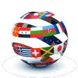 Translator Professional+Widget