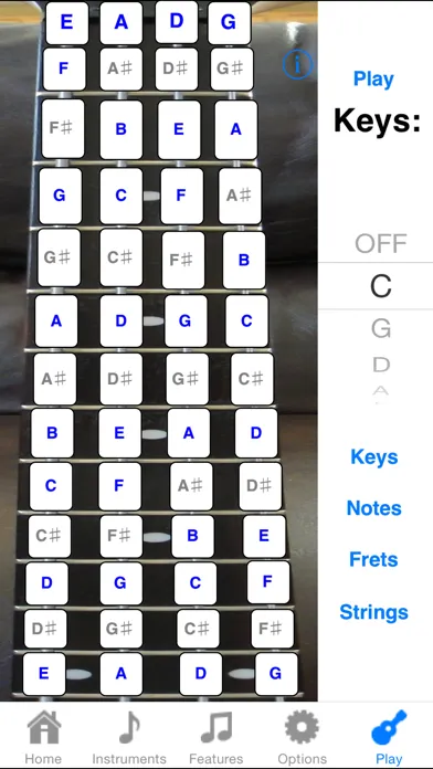 Bass Fretboard Addict Lite 스크린샷