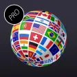Translator Professional Dark
