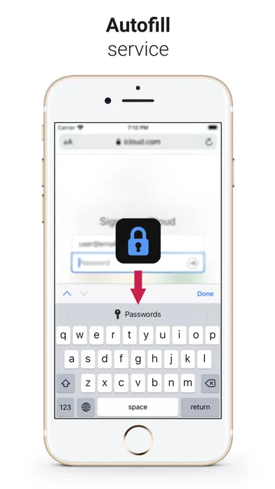 iPasswords - Password Manager应用截图