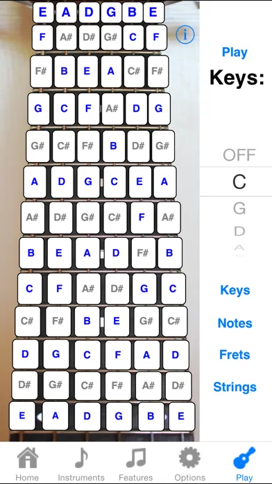 Guitar Fretboard Addict應用截圖