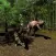 Dino Jungle