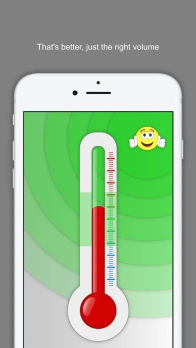 Screenshot di Voice Meter Pro
