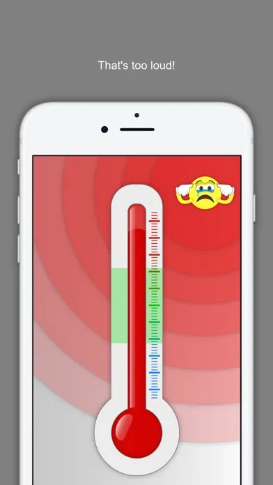 Screenshot di Voice Meter Pro