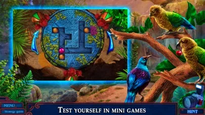 Hidden Expedition 20 - F2P স্ক্রিনশট