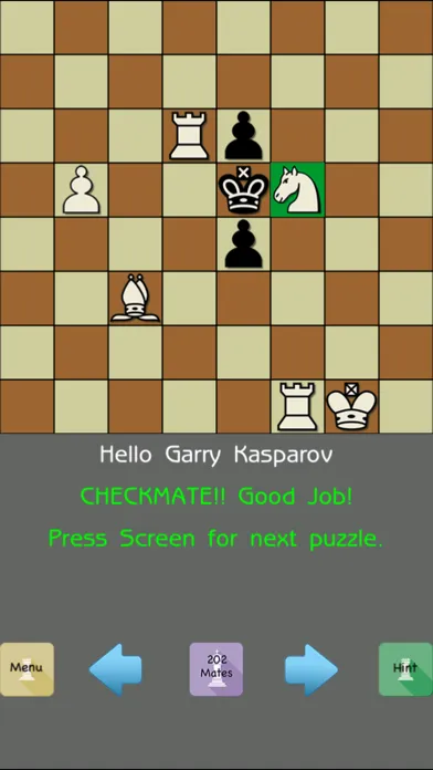 202 Chess Mate In ONE - 101 Chess Puzzles FREE স্ক্রিনশট