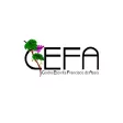 Cefa Cefa