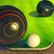 Shot Bowl Shot Bowl