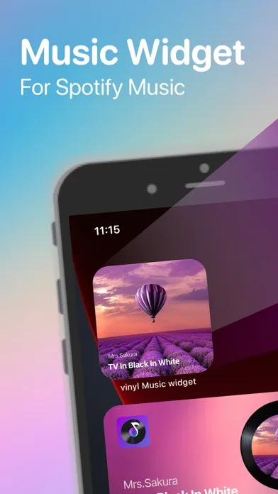 Ảnh chụp màn hình của MS Vinyl - Music Widget