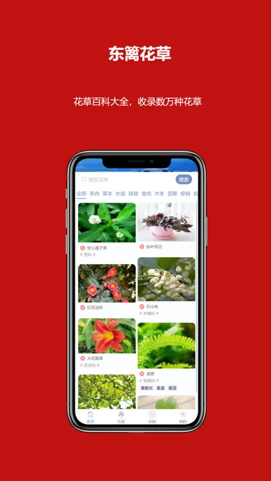 Captures d'écran de 东篱花草-多肉智能绿植养护专家