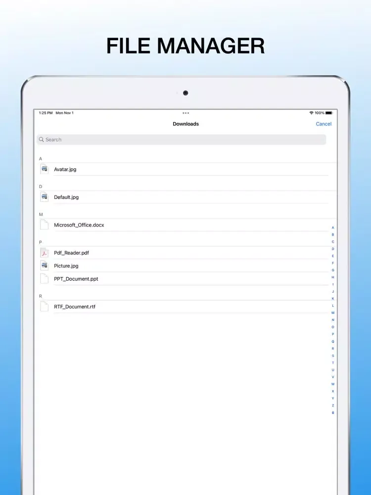Any Downloader - Easy Download iPad 應用截圖