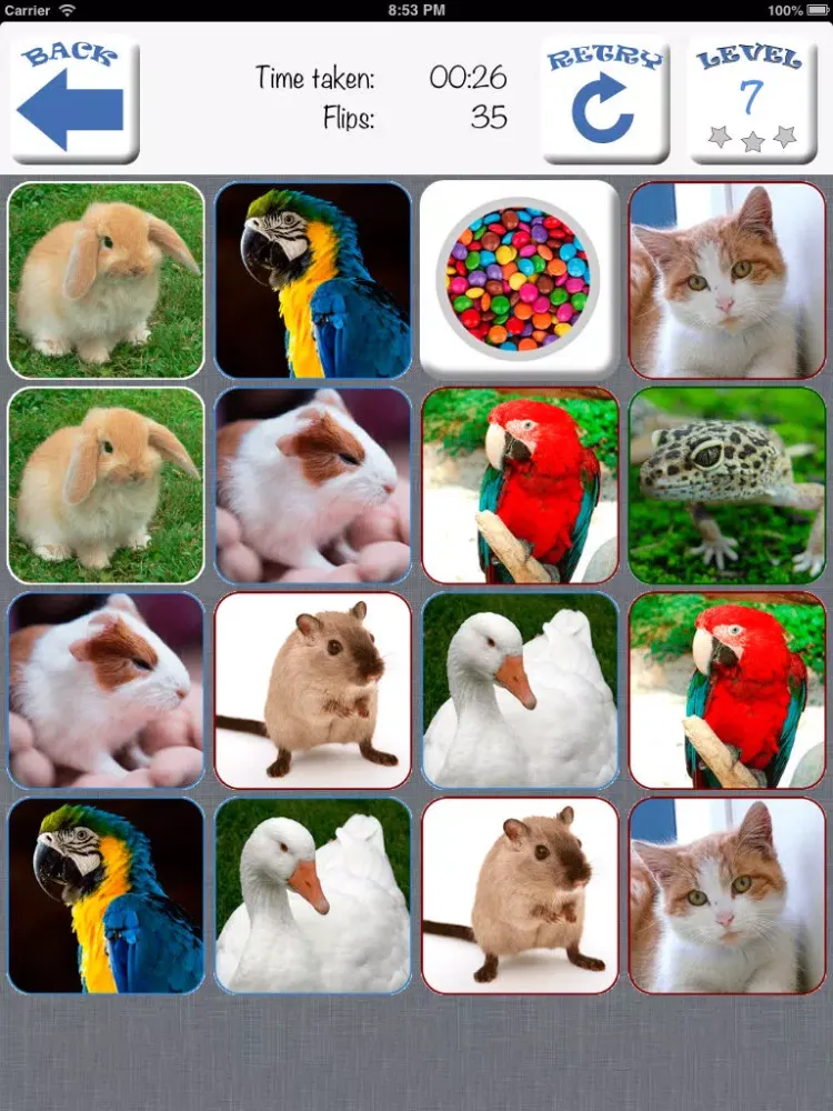 Doodle Pair Animals! Domestic&Pets - Photo Match Up Game Free Version (Picture Match) iPad  Screenshots