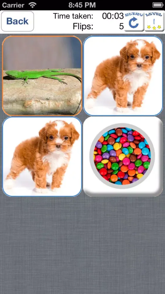 Doodle Pair Animals! Domestic&Pets - Photo Match Up Game Free Version (Picture Match) Screenshots