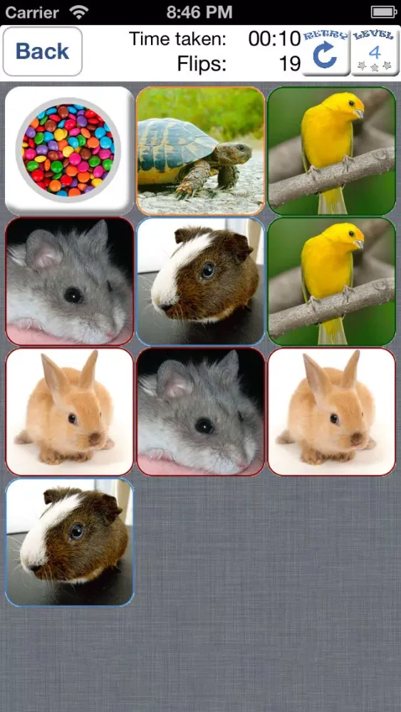 Doodle Pair Animals! Domestic&Pets - Photo Match Up Game Free Version (Picture Match) Screenshots
