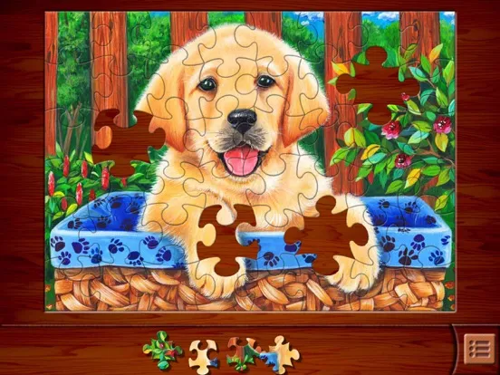 Jigsaw Puzzles⁺ iPad  سکرین شاٹس