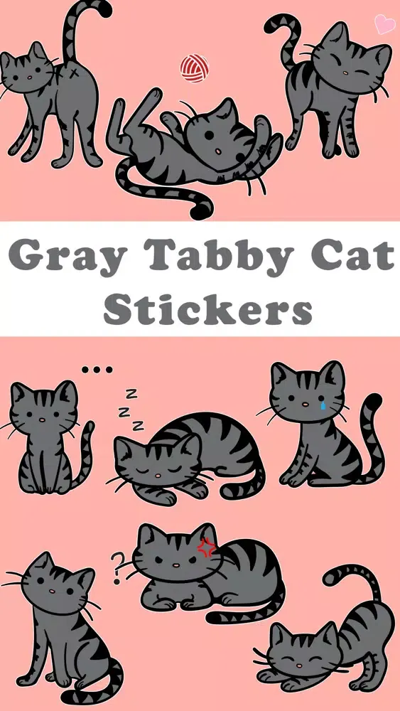 Gray Tabby Cat Stickers Screenshots