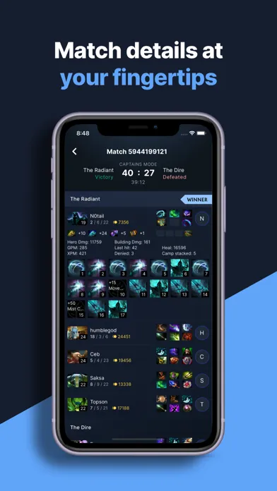 Dotastatz for Dota 2 स्क्रीनशॉट